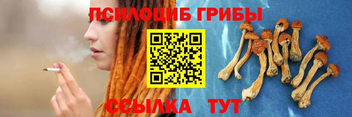 Галлюциногенные грибы Magic Shrooms Джанкой