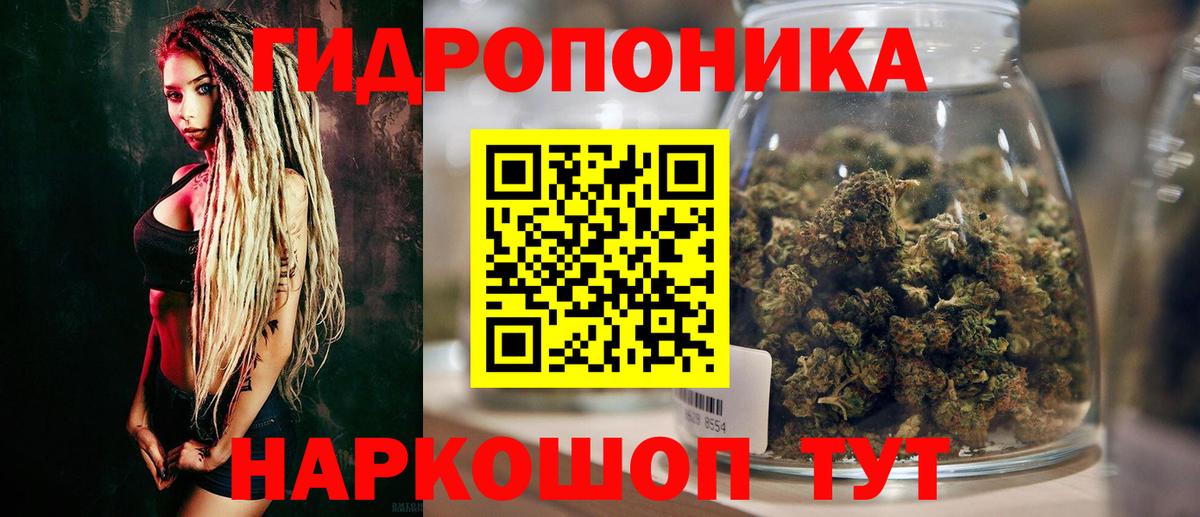 Конопля сатива Джанкой